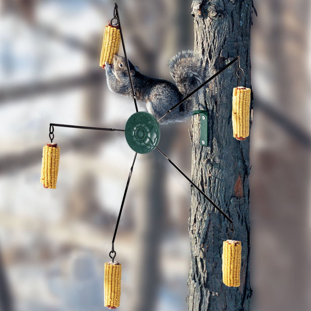5560 Squirrel-Go-Round Squirrel Feeder