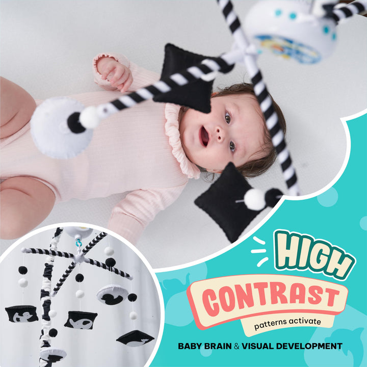 EVERLOVE Montessori Mobile Baby for Crib (TINITIGIES) - Digital Music Box with 12 lullabies &amp; 3 Modes (Rotating only, Music only, Rotating with Music) - Black and White Baby Mobile for Boys &amp; Girls