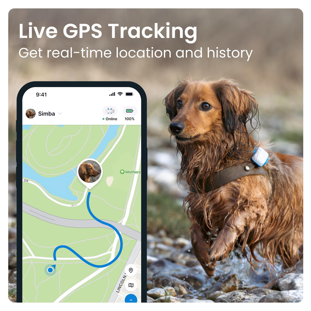 Tractive GPS Tracker & Health Monitoring for Dogs - Market Leading Pet GPS Location Tracker, Wellness & Escape Alerts, Waterproof, Works with Any Collar (Brown)