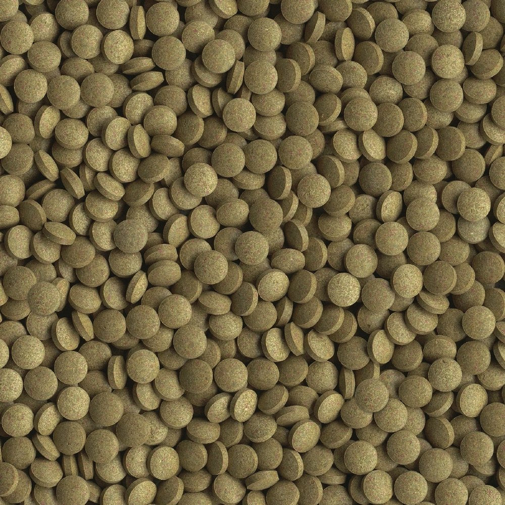 Min Tropical Tablets 1.69 Ounces, Nutritionally Balanced Fish Food For Bottom Feeders