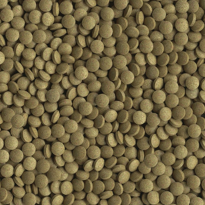 Min Tropical Tablets 1.69 Ounces, Nutritionally Balanced Fish Food For Bottom Feeders
