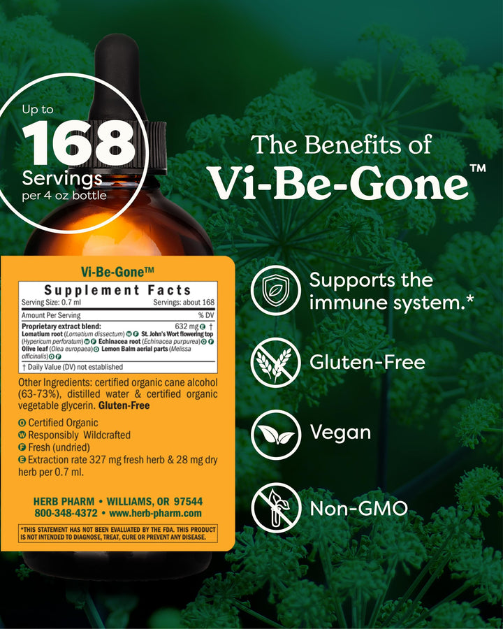 Virattack Liquid Herbal Formula with Lomatium for Active Immune System Support - 4 Ounce