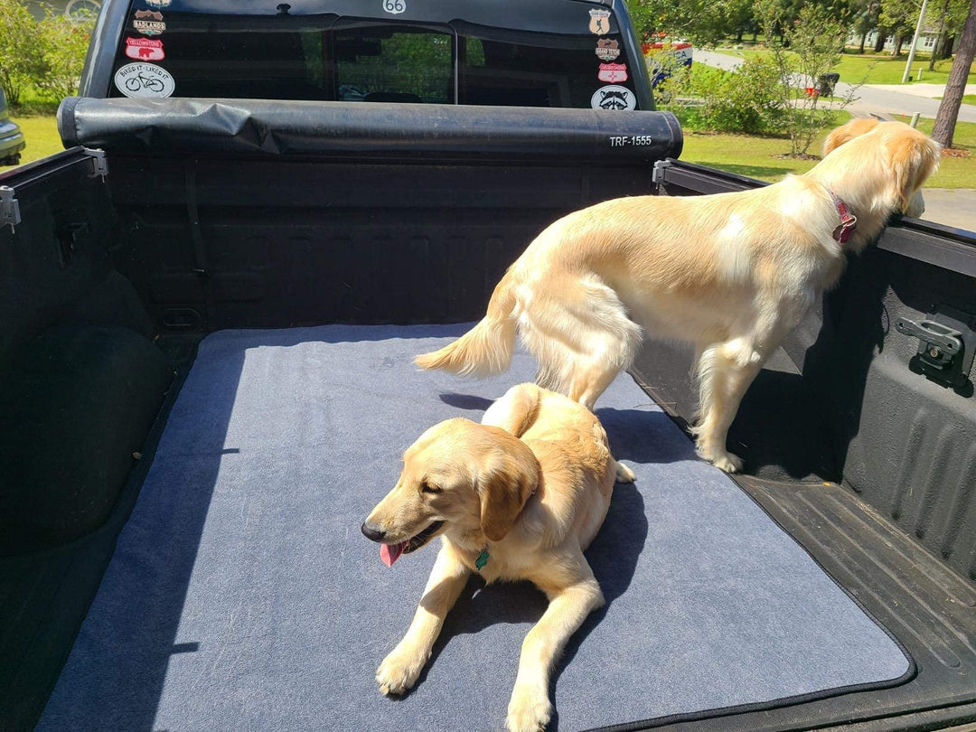 Washable Pee Pads for Dogs 65x45/72x72 Extra Large Reusable Pee Pads Waterproof Pet Mat, Dog Playpen Mats for Puppy Training Whelping Playpen Pads