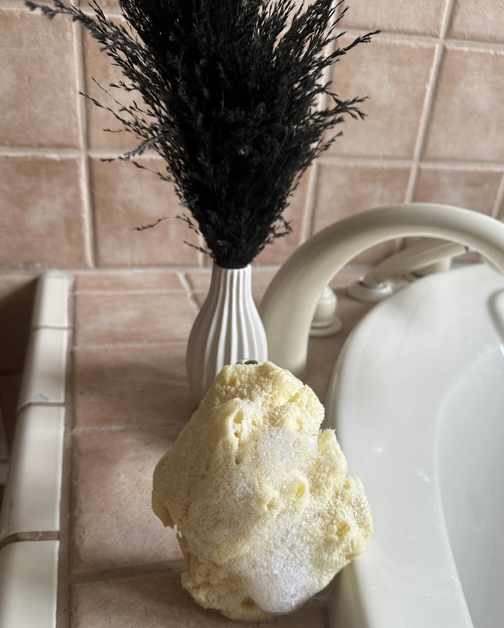 Natural Sea Wool Sponge 6-7 Natural Renewable Resource