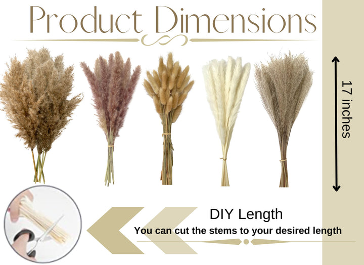 125 PCS Dried Pampas Grass Bouquet - Boho Flowers - Boho Pampas Grass Decor - Bunny Tails Small Pampas Grass - Pompas Floral - Mini White Pampas - Pampass Grass Bulk - Dried Gras