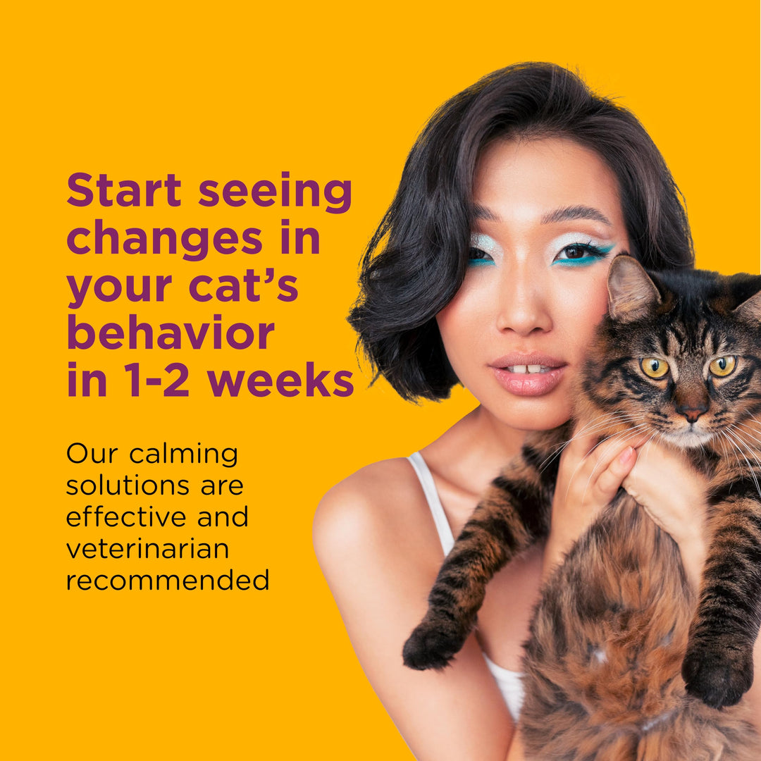 Cat Calming Spray: Travel Size (2oz)