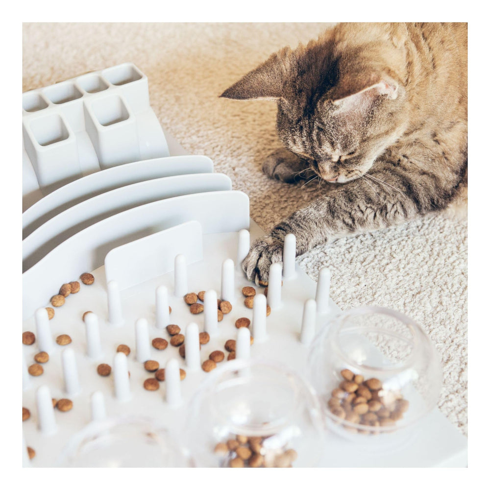 Fun Board Strategy Game for Cats, Puzzle Toy, Treat Dispenser, Interactive Play, Mental Stimulation