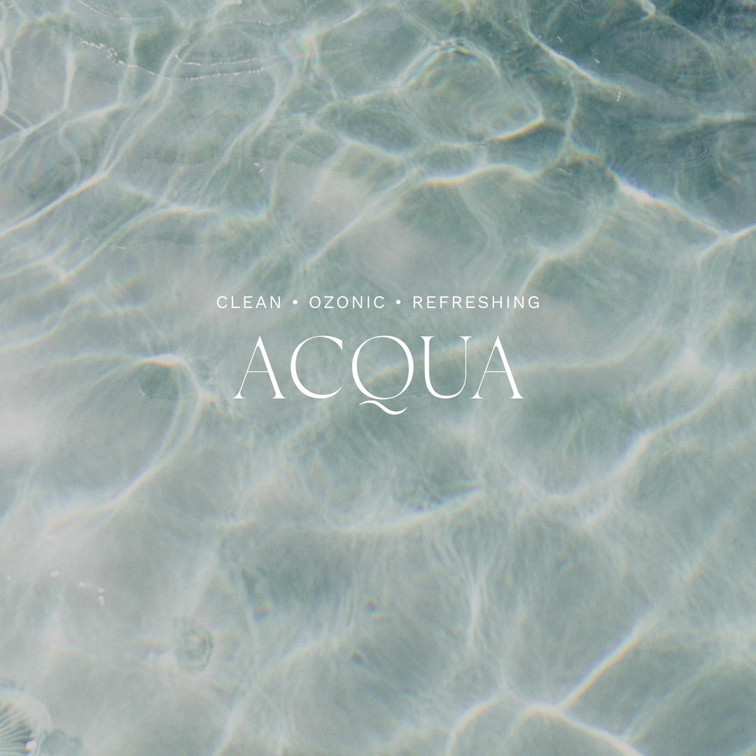 Home Ambiance Diffuser, 8.45 Fl Oz