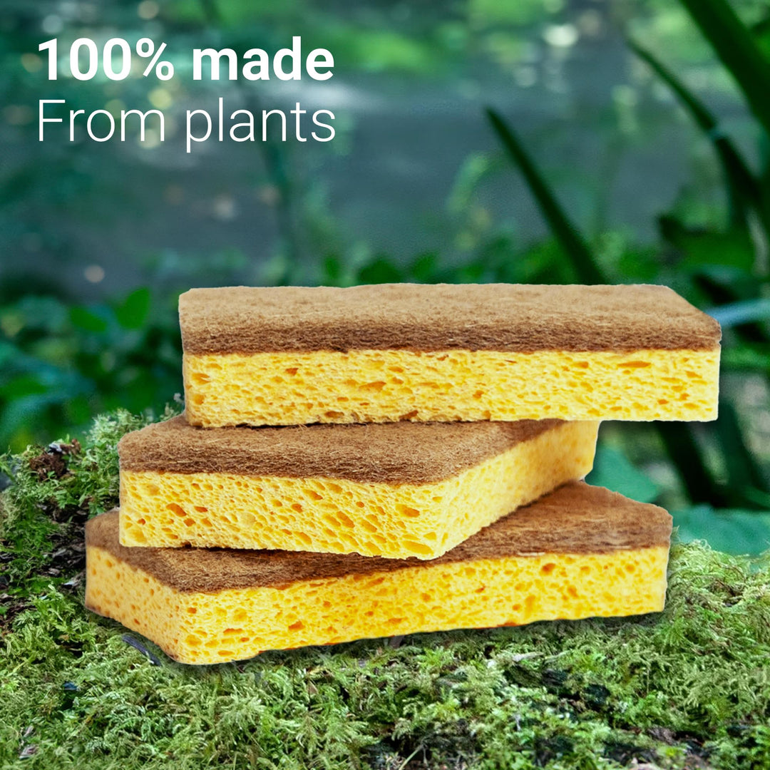 Vove | Premium Natural Kitchen Sponge | Non Scratch | L