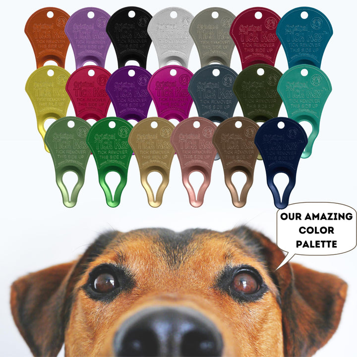 The Original Tick Key - Tick Detaching Device - Portable, Safe and Highly Effective Tick Detaching Tool (Assorted)