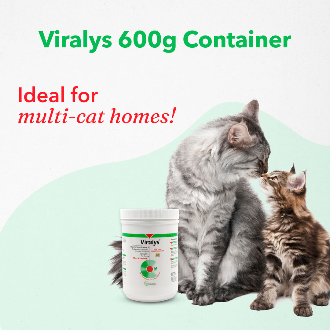 Viralys Daily L-Lysine Powder for Cats and Kittens, Fish Flavored Lysine Supplement for Cats and Kittens to Support Immune Health, Normal Eye Function and Respiratory Health, 600gm