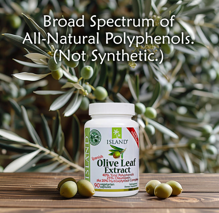 , Olive Leaf Extract Capsules – 25% Oleuropein (40% Total Polyphenols), Plus 20% Hydroxytyrosol Complex – 100% Grown &amp; Extracted in Spain (90 Capsules)