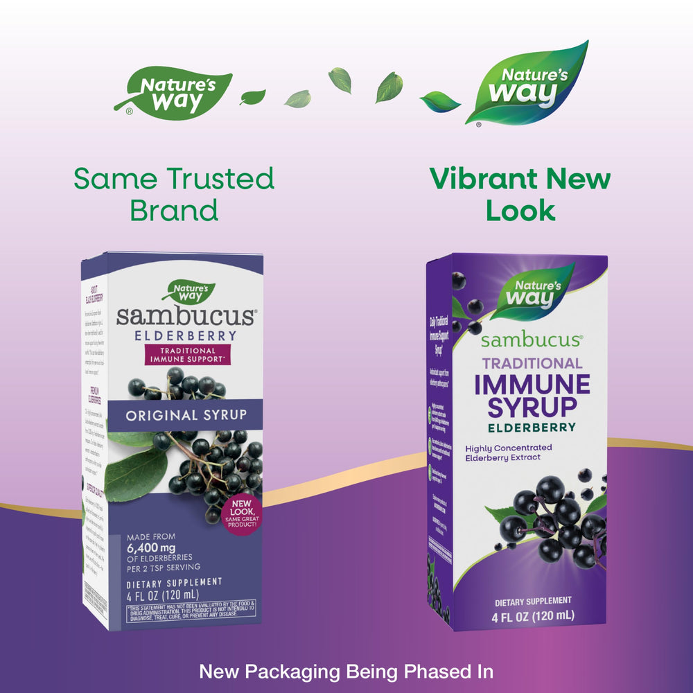 Nature’s Way Sambucus Elderberry Traditional Immune Syr