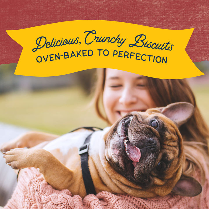 Limited Ingredient Rewards Crunchy Biscuits, Grain-Free Dog Treats for Adult Dogs of All Breeds, Sweet Potato &amp; Bison Recipe, 14 Ounce (Pack of 1)