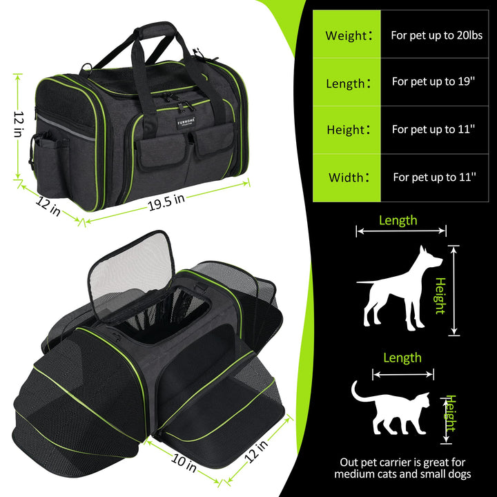 - 4 Side Expandable Pet Carrier for Cats and Small Dogs - with Pet Leash, Travel Water Bottle and Collapsible Container - TSA Airline Approved - Soft-Sided Large Cat Carrier