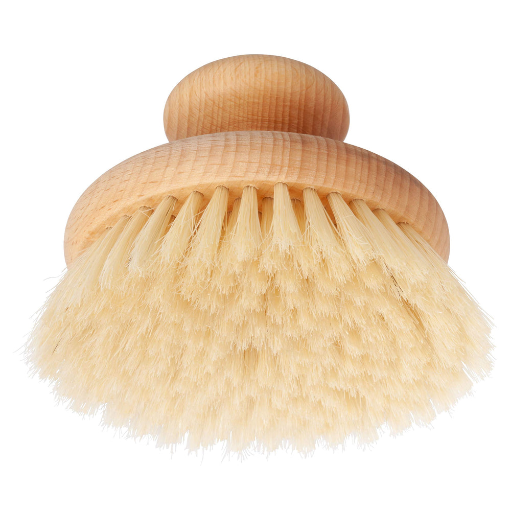 Oiled Beechwood Knob with Pig Bristle : Bürstenhaus Natural Pig Bristle Massage Brush with Oiled Beechwood Knob, 3-7/8-Inches