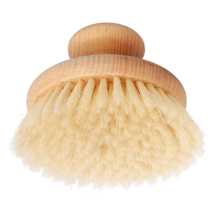 Oiled Beechwood Knob with Pig Bristle : Bürstenhaus Natural Pig Bristle Massage Brush with Oiled Beechwood Knob, 3-7/8-Inches