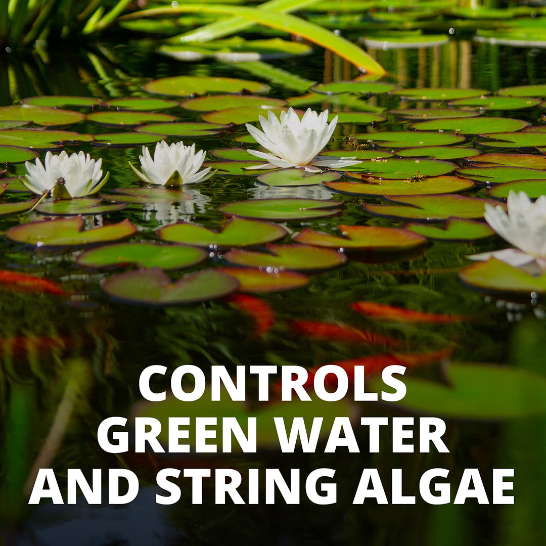 77188 Algae Control Treats 36000 gallons, 101.4-Ounce