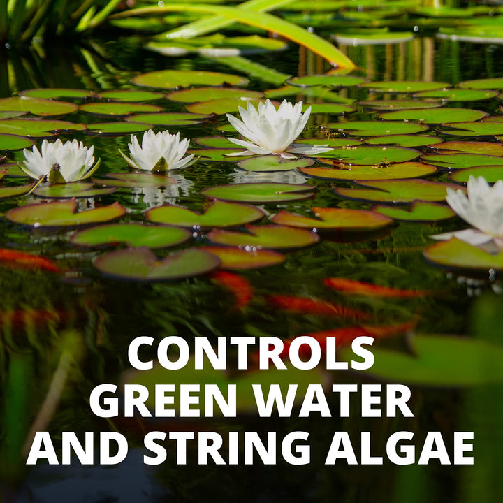 77188 Algae Control Treats 36000 gallons, 101.4-Ounce