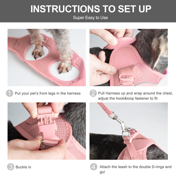 Fida Cat Harness and Leash Set for Walking Kitten and P