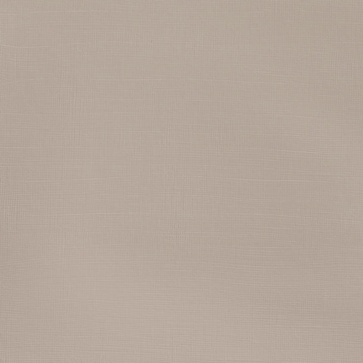 Winsor &amp; Newton Galeria Acrylic Color, 60ml (2-oz) Tube, Pale Umber