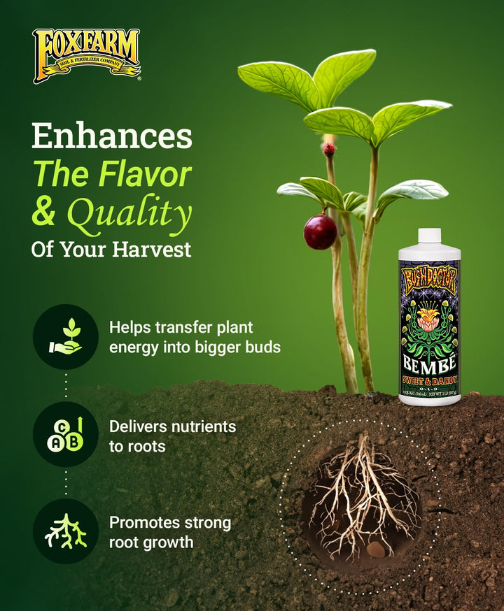 Foxfarm Bushdoctor Bembé Concentrate, Fast-Acting Liquid Plant Fertilizer, Enhances Natural Sugars for Sweetness and Flavor - Easy Absorption for Soil, Containers, and Hydroponics- NPK 0-1-3 (Quart)