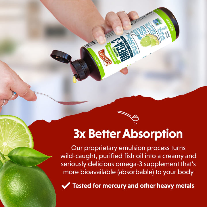 Barlean&#39;s Key Lime Pie High Potency Omega 3 Fish Oil Liquid Supplement, 1500mg of EPA &amp; DHA Fatty Acid, Smoothie Flavored &amp; Burpless for Brain, Joint, &amp; Heart Health, 16 oz