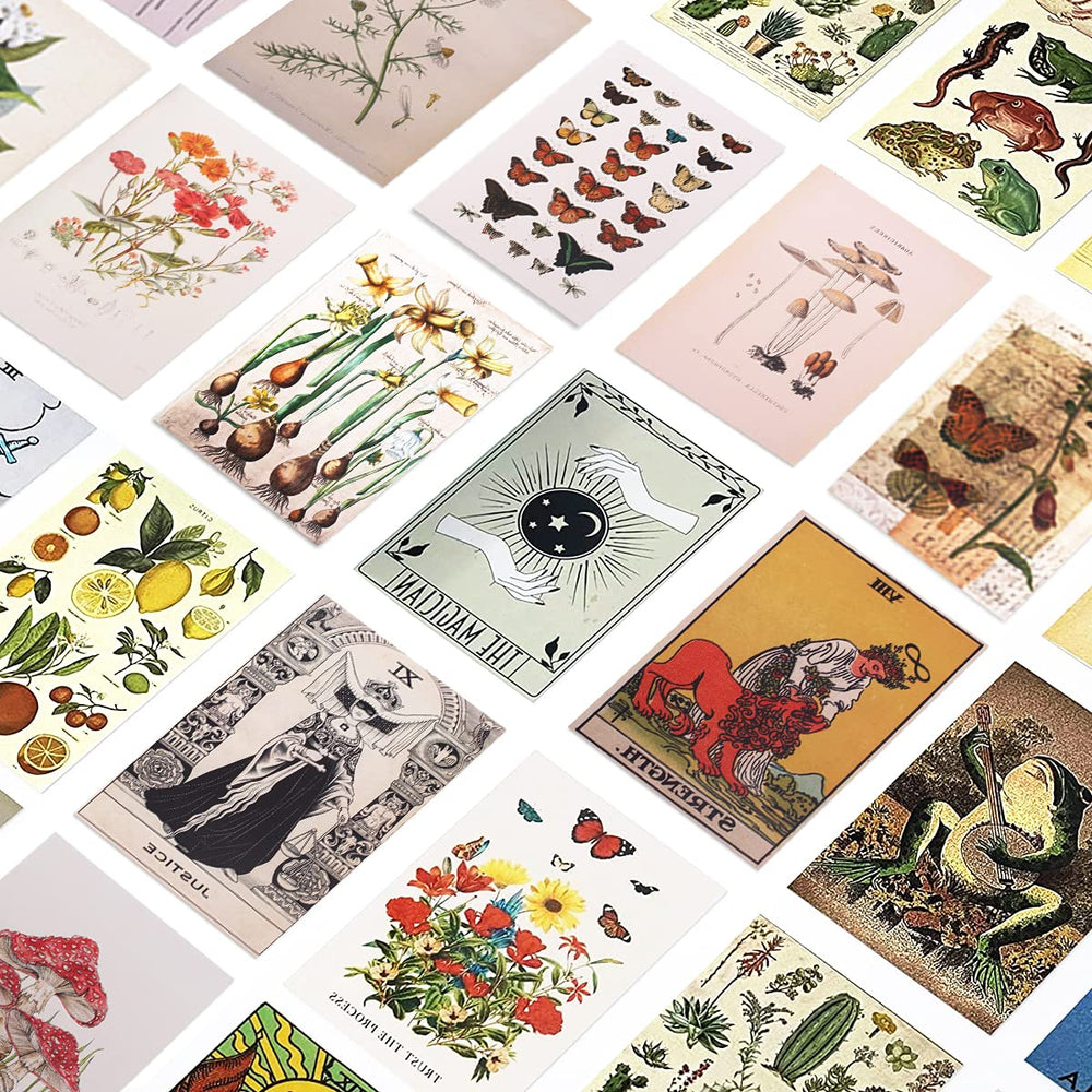 Wall Collage Kit,50 Pcs Vintage Botanical Wall Collage Posters Aesthetic Pictures for Tarot Boho Botanical Illustrations Nature Posters,Teen and Girls Dorm Room Art Aesthetic
