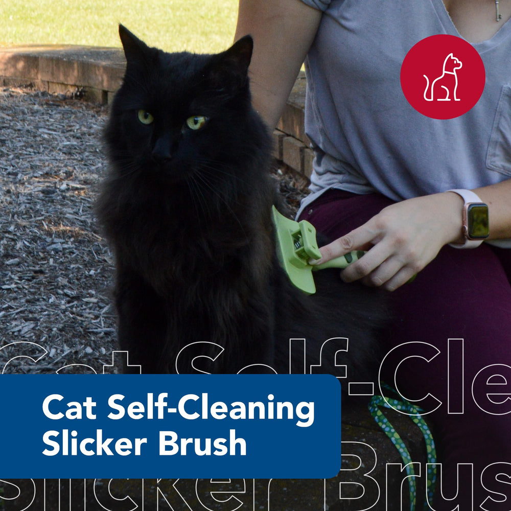 Pet Safari - Cat Self-Cleaning Slicker Brush - Cat Grooming Supplies