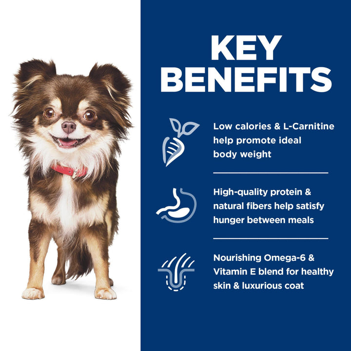 Hill&#39;s Science Diet Sensitive Stomach &amp; Skin, Adult 1-6, Small &amp; Mini Breeds Stomach &amp; Skin Sensitivity Support, Dry Dog Food, Chicken Recipe, 4 lb Bag