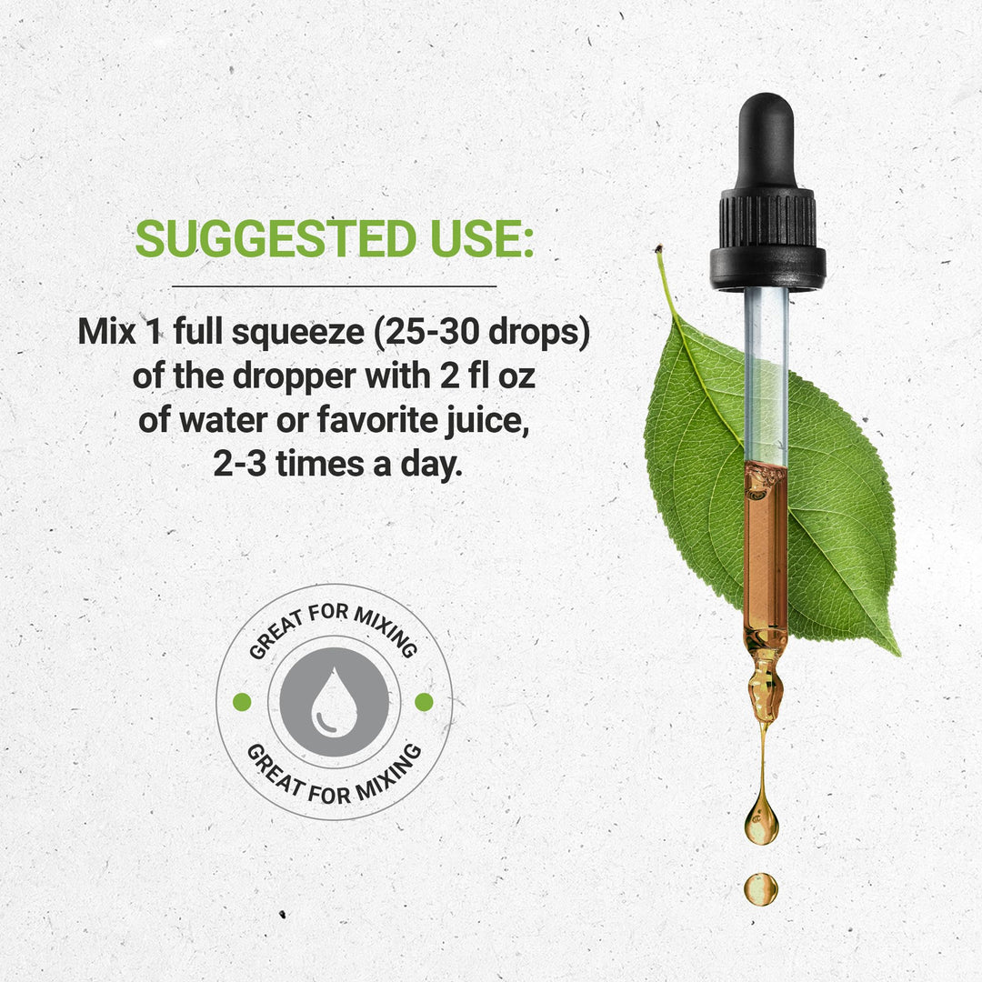 Elecampane Alcohol-Free Liquid Extract, Elecampane (Inula Helenium) Dried Root Tincture Supplement (4 FL OZ)
