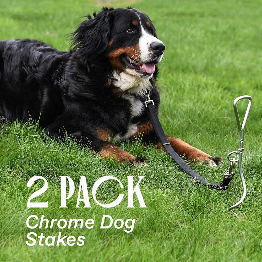 Dog Tie-Out Stake - Heavy Duty 16 Dog Stakes for Outside, Yard and Camping, Corkscrew Arrowhead Design with Tangle-Free 360 Swivel Hook - Water Resistant Pet Restraint Tool up to 80 lb Dogs