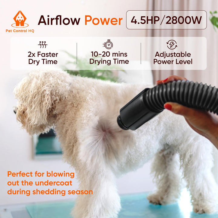 High-Velocity Dog Dryer for Grooming - Quiet Pet Hair Blow Dryer with Heater, 4 Nozzles &amp; Adjustable Speed - Professional Dog Blower for Large Dogs, Thick Coats &amp; Deshedding