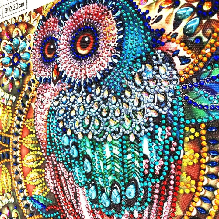 Owl Diamond Art Painting Kits for Adults,DIY 5D Special Shape Rhinestone Crafts, Partial Dots Gem Home Decor 12x12inch