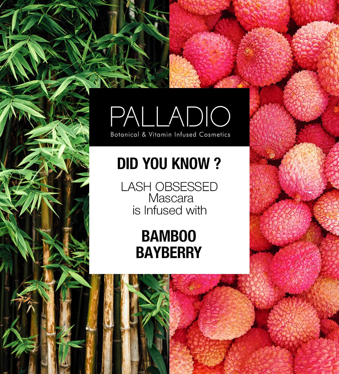 Beauty, MASCARA 0.34 fl oz 10 ml, Black, Maxxxlash - Black