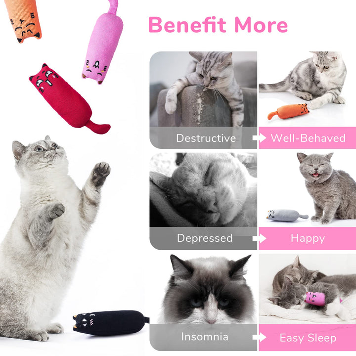 5Pcs Bite Resistant Catnip Toy for Cats,Catnip Filled Cartoon Mice Cat Teething Chew Toy