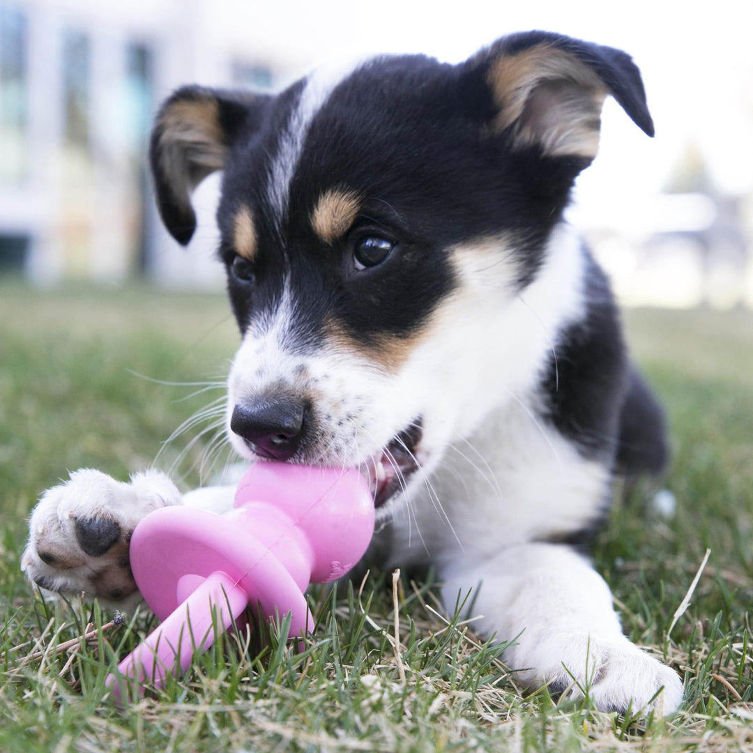 Puppy Binkie - Pacifier Dog Toy for Puppies - Stuffable Treat Chew Toy for Treats - Durable Natural Rubber for Teething Puppy - for Medium Puppies - Blue