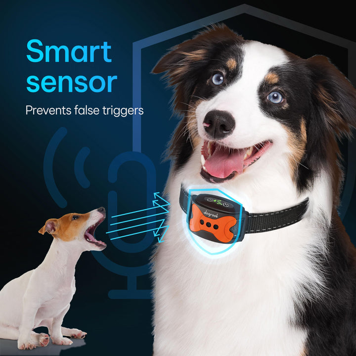 Rechargeable Dog Bark Collar - Smart, No Shock Dog Training Collar with Noise and Vibration - No Bark Collar - Anti Bark Waterproof Dog Collar - Small, Medium &amp; Large Dog Collar - 12-110 lbs