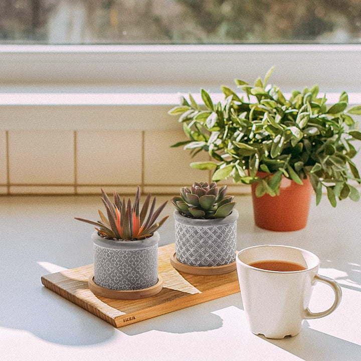 2.5 Inch Cement Succulent Pot with Bamboo Tray Set of 3, Small Grey Concrete Planter Garden Cactus Plant Herb Container for Home and Office Decoration Birthday Wedding
