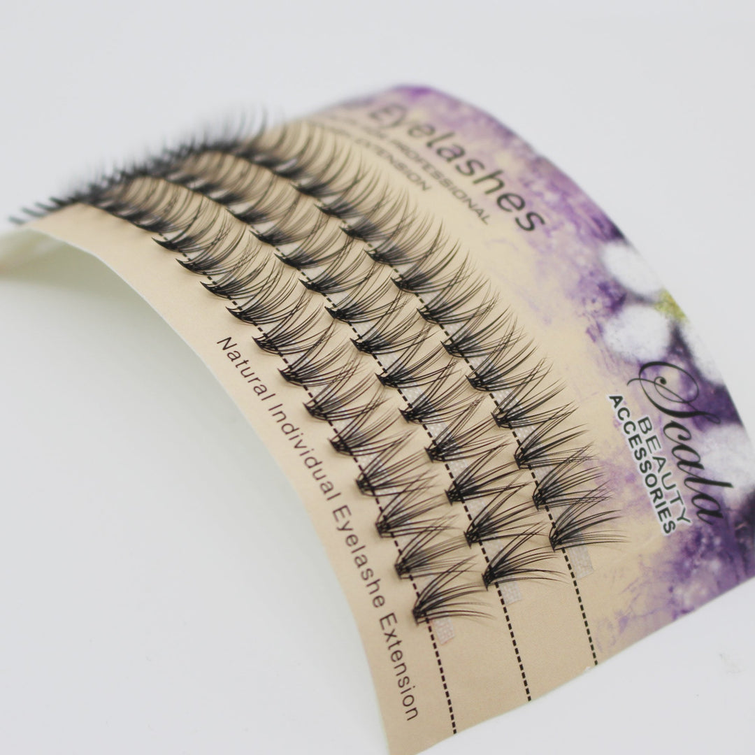 10Mm: Scala Brand Beauty Natural Long 20 Root 0.07 C Curl 3D Profession Individual Eyelashes Extension Soft Black Fake False Eye Lashes Tools (10Mm)