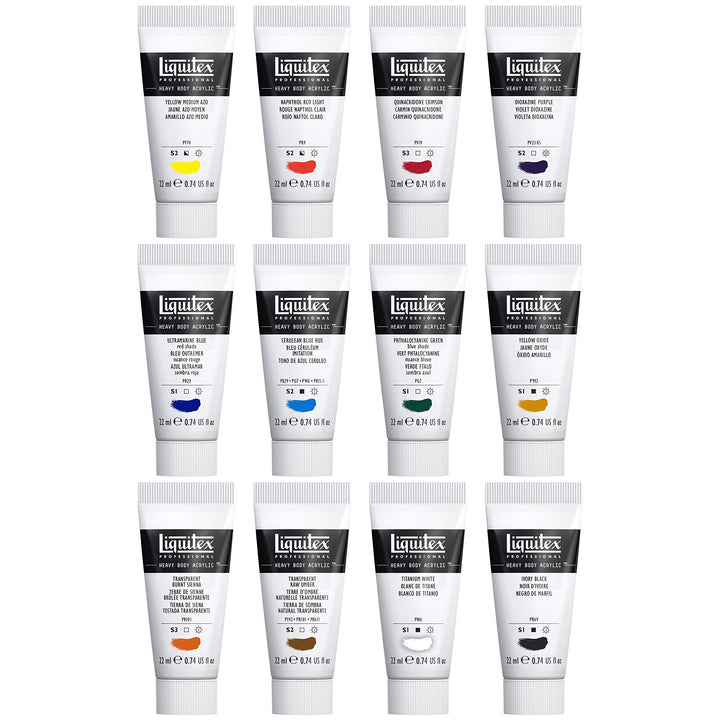 Liquitex Professional Heavy Body Acrylic Paint, 12 x 22