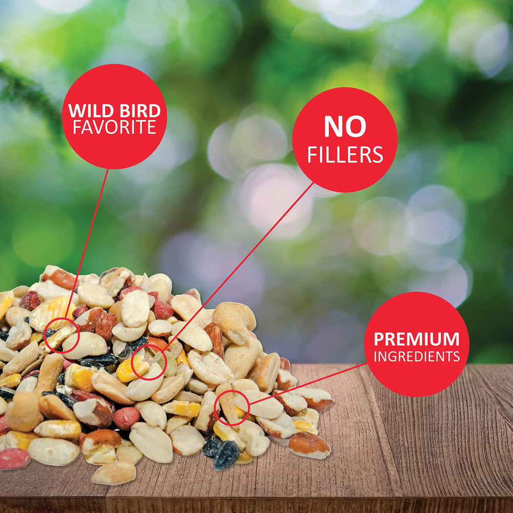 Fruit and Nut Wild Bird Seed - High Energy Wild Bird Food Mix - Attracts Woodpeckers, Chickadees & Other Songbirds - 5 lb bag