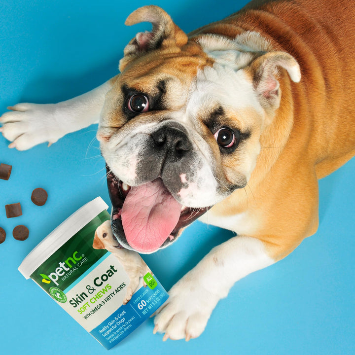 Skin and Coat Soft Chews for Dogs, 60 Count