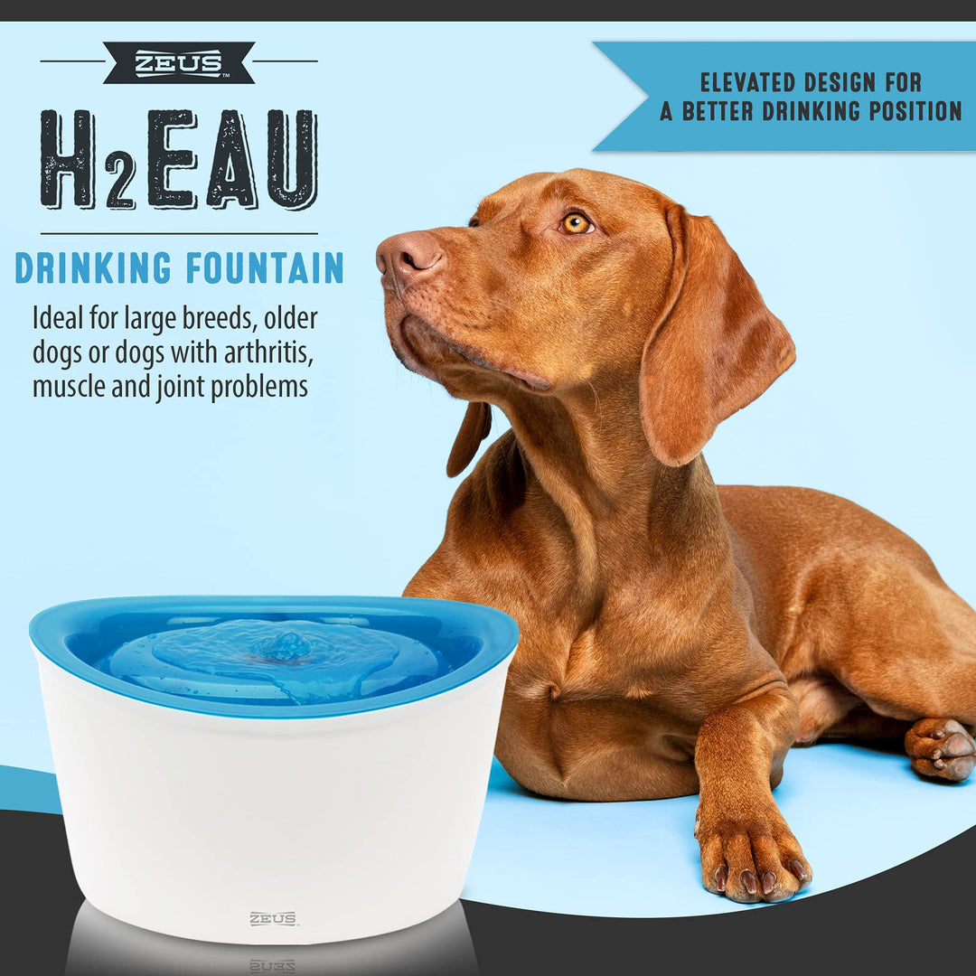 Zeus Fresh &amp; Clear Elevated Dog and Cat Water Dispenser, Large Drinking Water Fountain with Purifying Filter, 6L Capacity, 1 Count (Pack of 1)