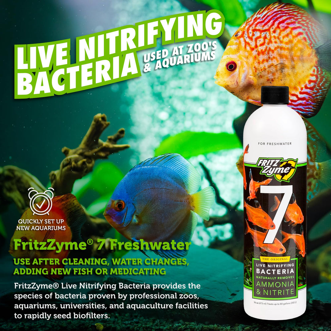 FritzZyme 7 Live Nitrifying Bacteria Naturally Removes Amonia &amp; Nitrite for Freshwater Fish (16-Ounce)