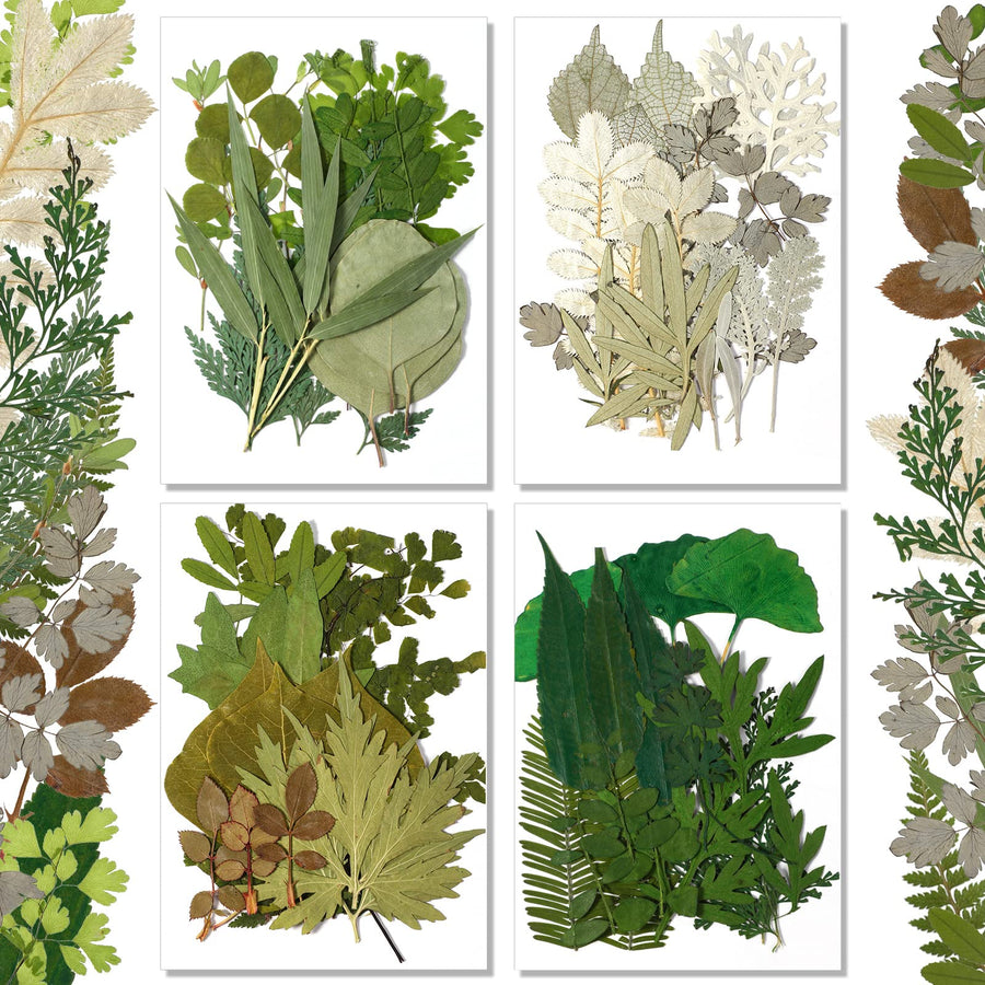 84 Pieces Dried Pressed Leaves Dried Flowers for Resin Dried Leaves for Resin Mini Dried Flowers for Crafts Dried Greenery Assorted for Art DIY Handmade Bookmarks 4 Bags(Classic Style)