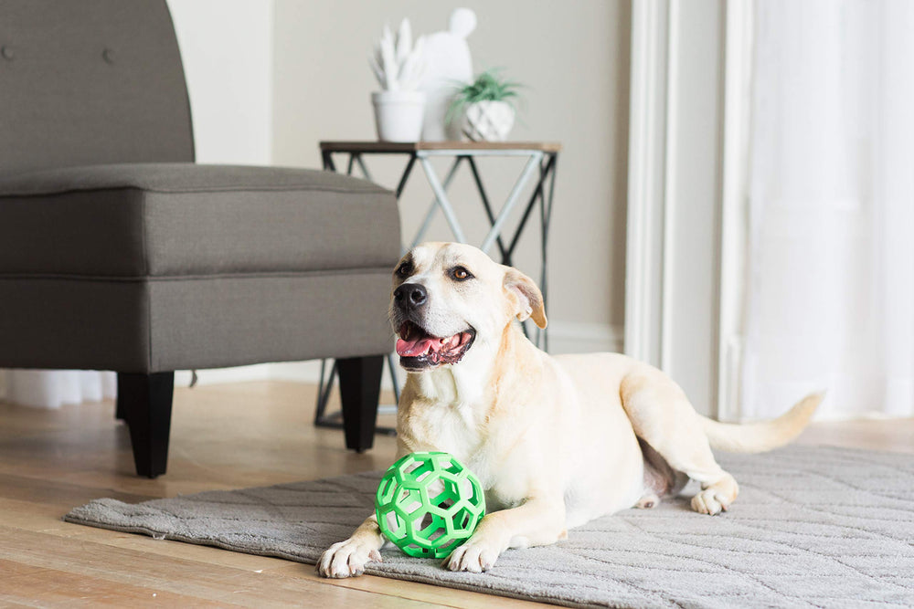 Hol-ee Roller Dog Toy Puzzle Ball, Natural Rubber, Large (5.5 Inch Diameter), Colors May Vary