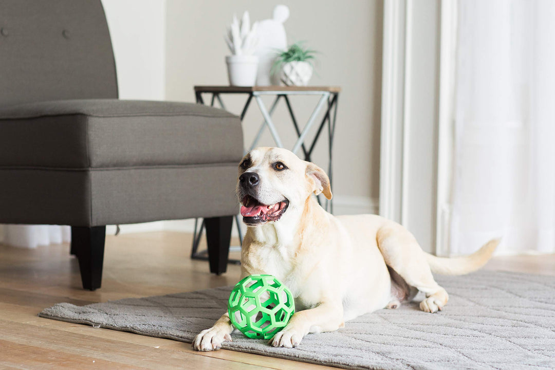 Hol-ee Roller Dog Toy Puzzle Ball, Natural Rubber, Large (5.5 Inch Diameter), Colors May Vary