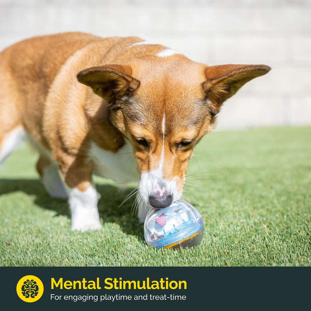 IQ Treat Ball Interactive Dog Ball - 3 Puzzle Treat Dispenser, Durable, Slow Feeder, for All Dog Breeds, Toys to Keep The Busy and Enrichment
