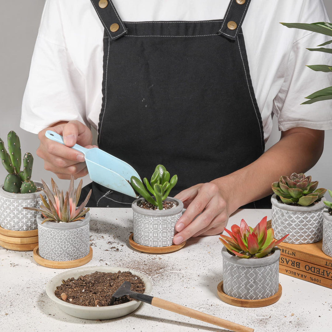 2.5 Inch Cement Succulent Pot with Bamboo Tray Set of 3, Small Grey Concrete Planter Garden Cactus Plant Herb Container for Home and Office Decoration Birthday Wedding
